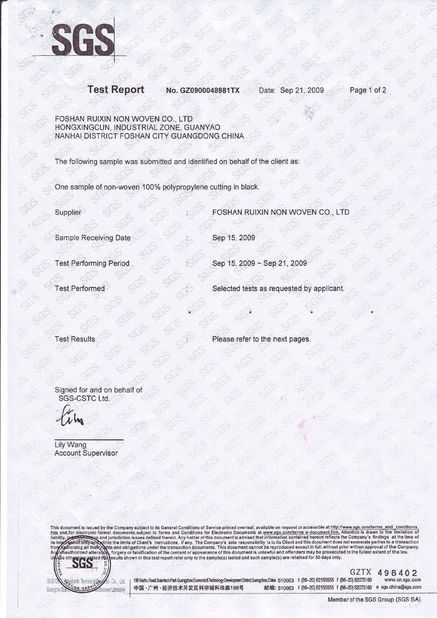 China Foshan Rayson Global CO., Ltd Certificaciones