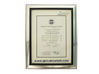 China Foshan Rayson Global CO., Ltd certificaciones